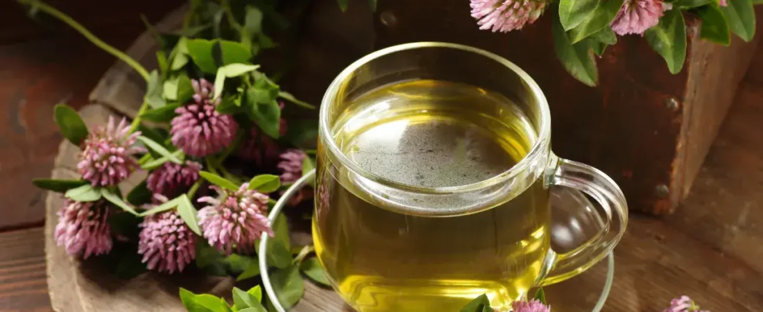 good detox tea Good Detox Tea: Discover the Benefits and Best Varieties for Health