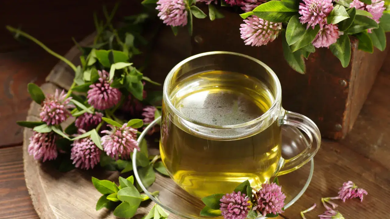 Good Detox Tea: Discover the Benefits and Best Varieties for Health